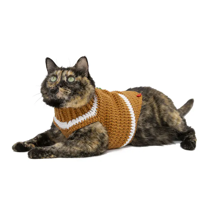 The Gingerbread Sweater - Master