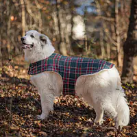 The Plaid Paws Pioneer Jacket - Master
