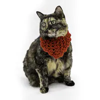 The Sweetheart Bandana - Master