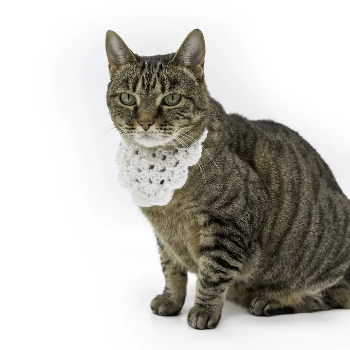 The Sweetheart Bandana - Master