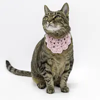 The Sweetheart Bandana - Master