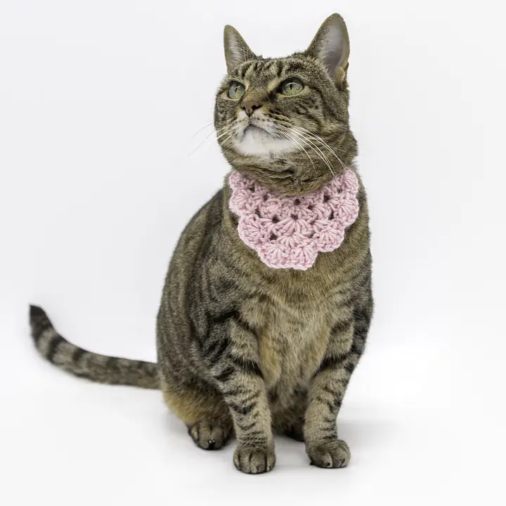 The Sweetheart Bandana - Master