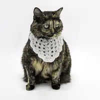 The Sweetheart Bandana - Master