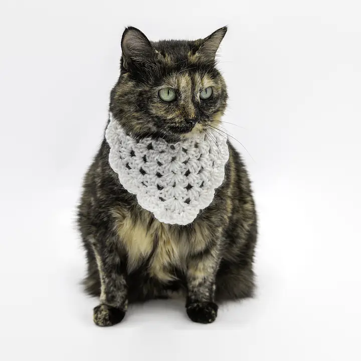 The Sweetheart Bandana - Master