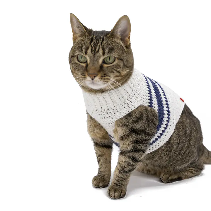 Sophie's Snuggly Crocheted Sweater - Master