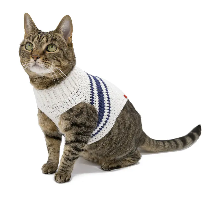 Sophie's Snuggly Crocheted Sweater - Master