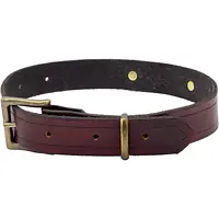 Handcrafted Leather Dog Collar – Burgundy & Brass - Master