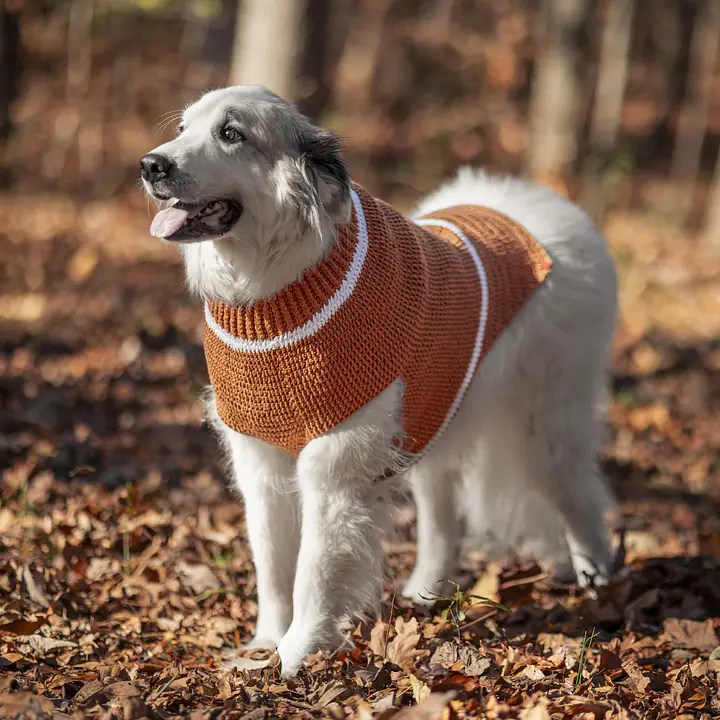 The Gingerbread Sweater - Master