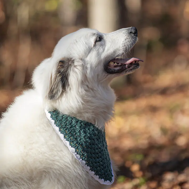 Crocheted Bandanas - Green - Master