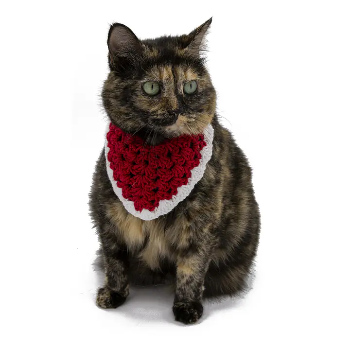 Crocheted Bandanas - Red - Master