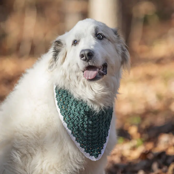 Crocheted Bandanas - Green - Master