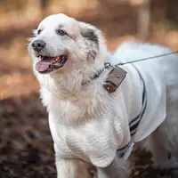 The Pooparazzi Pouch - Leather Dog Poop Bag Carrier - Master