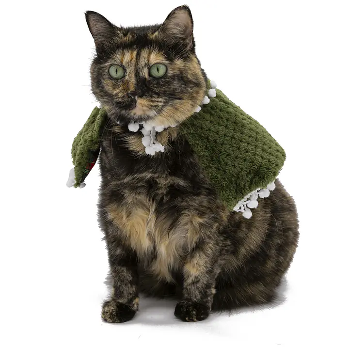 The Meow-y Evergreen Enchantment Cape - Master
