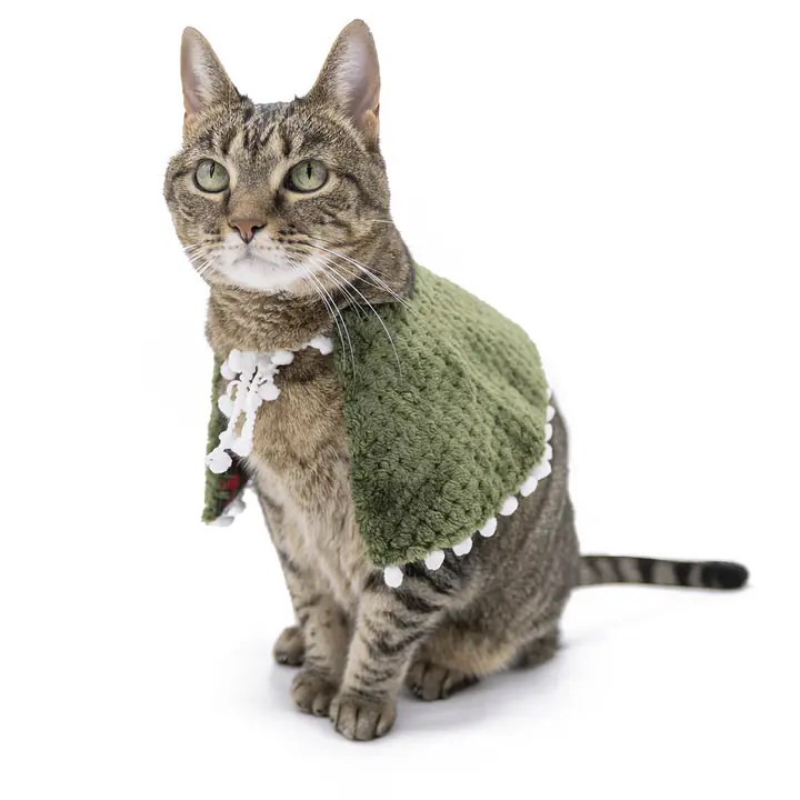The Meow-y Evergreen Enchantment Cape - Master