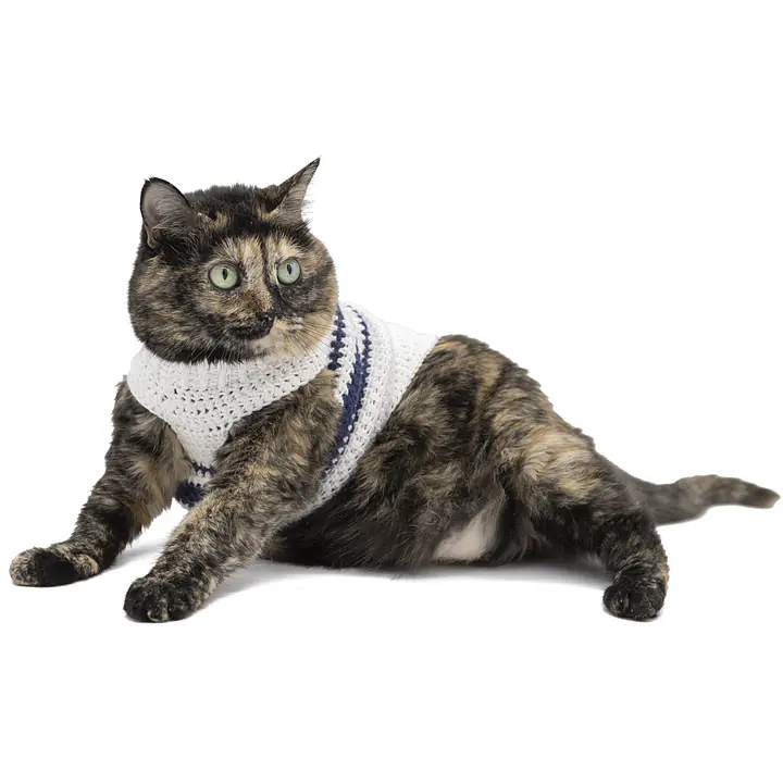 Sophie's Snuggly Crocheted Sweater - Master