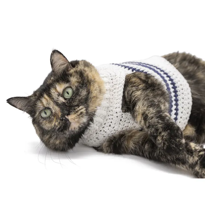 Sophie's Snuggly Crocheted Sweater - Master