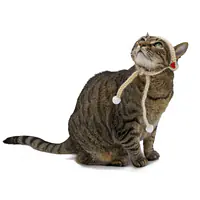 The Snowflake Whisker Beanie - Master