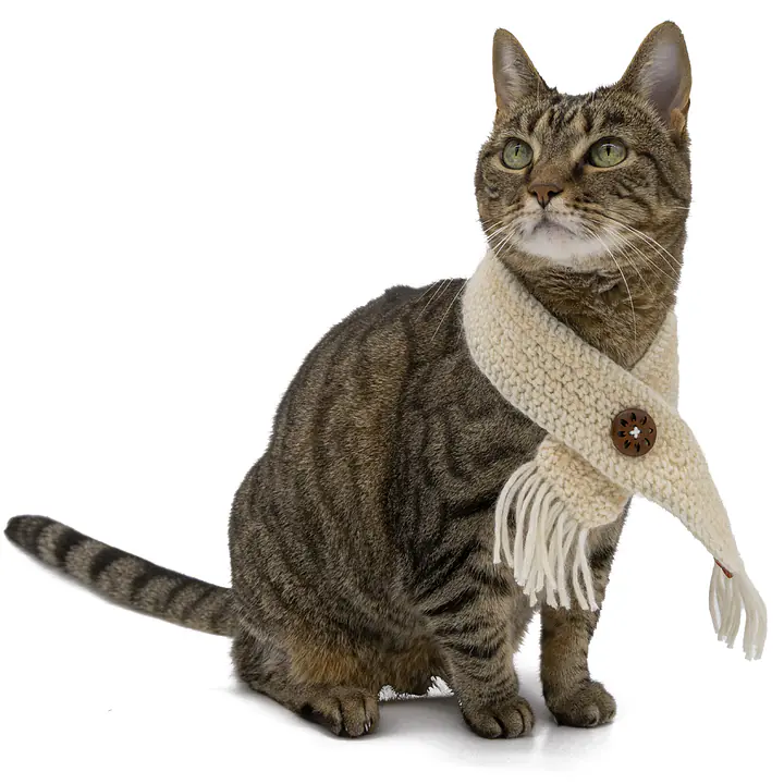 The WhiskerWrap Button Scarf - White or Blue - Master