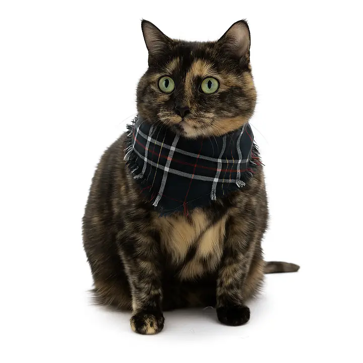 The Flannel Furry Friendship Bandana - Master