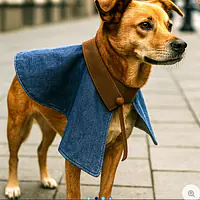 The Hard Rock Denim Kitty/Pup Cape - Master