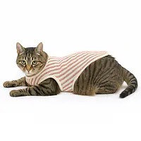 The Candy Cane Cuddle Coat - Master