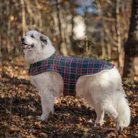 The Tartan Plaid Quilted Jacket - Master